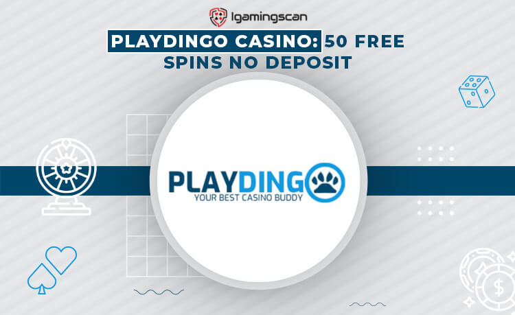 Playdingo Casino